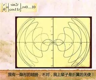 语言|唯美的数学表白语言