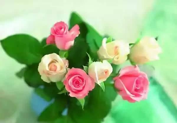 柠檬|拖地之前放点醋效果不一般这么多小技巧快来学学吧