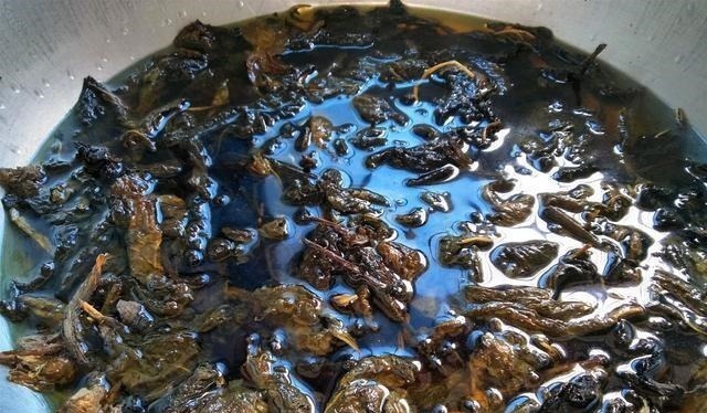 很多人只吃种子，殊不知叶子才是“宝贝”，20元1斤供不应求