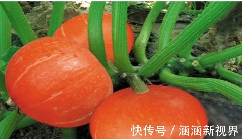 排毒养颜|女性不想老太快,推荐吃的食物,排毒养颜,美白肌肤,好处多多