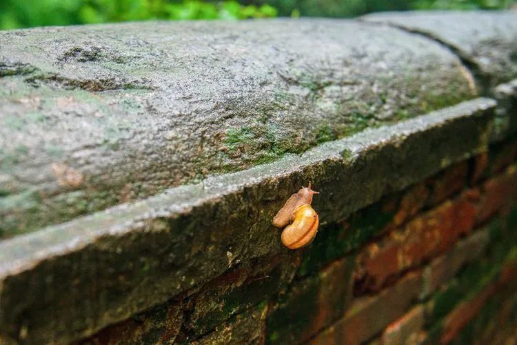 风穴寺|用镜头记录暴雨中的风穴寺