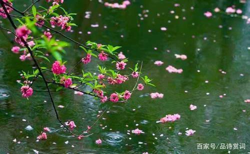 |李商隐很罕见的两首绝句,诙谐风趣,又委婉地透出小心思