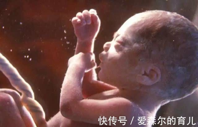 孕妈们|原来胎宝宝的性格,妈妈也有“决定权”,怪不得每次胎动都不一样