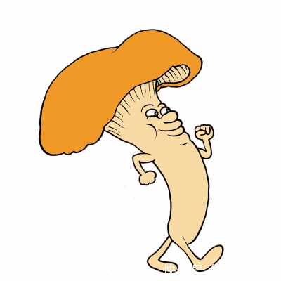 营养|鸡汤这样做才好喝,营养健康,胜过无数补药,老婆学到的宝贵经验