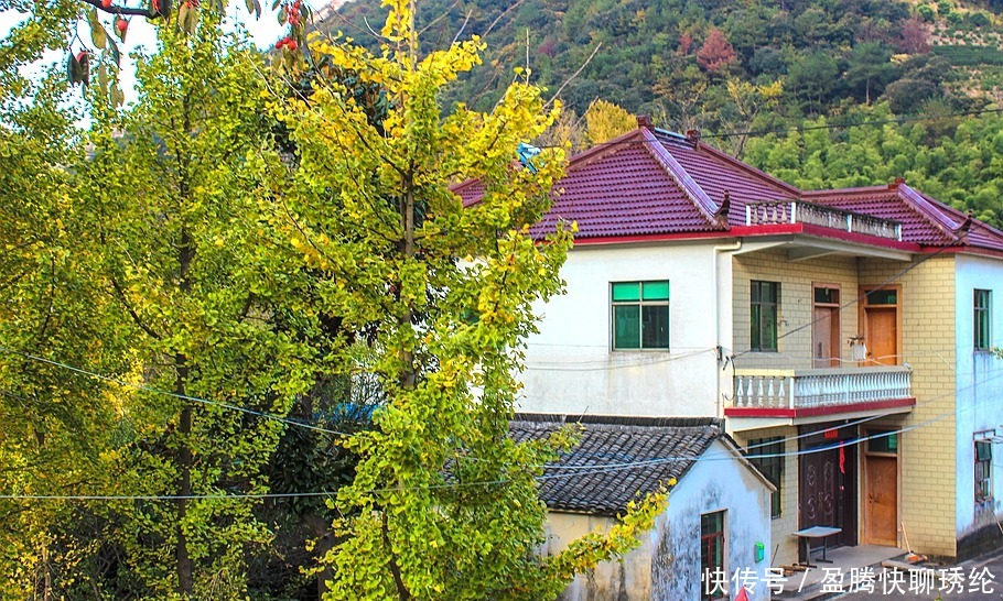 柿子|长兴有一个美丽的小山村，它的名字叫石岕口，仿佛静谧的山水画般