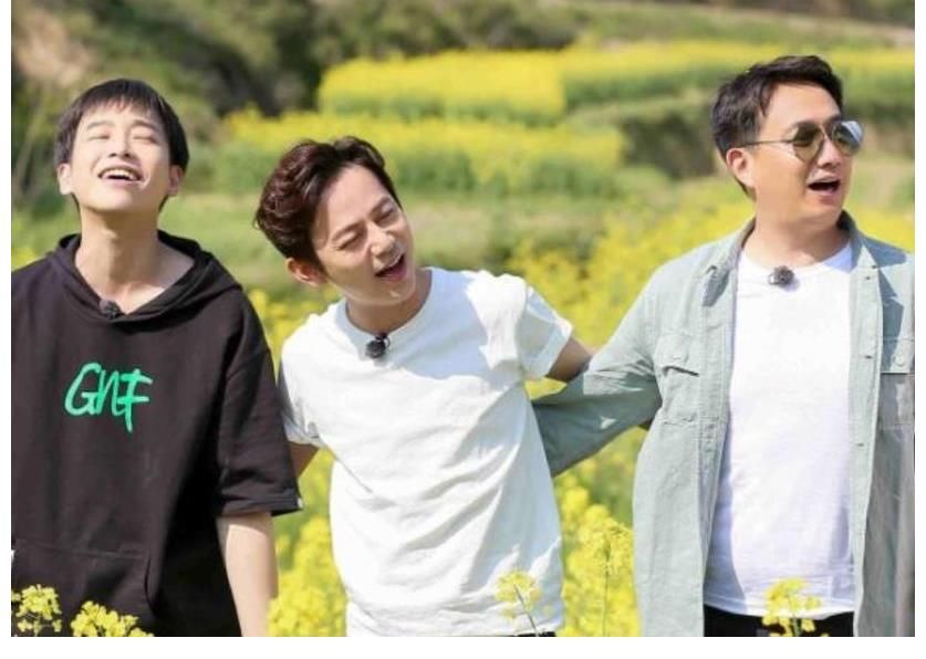 意思|《中餐厅5》海报站位有点意思,姚安娜站最后一排,展露真实咖位?