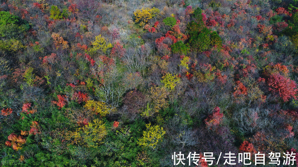 徽州|安徽又又又又又红了