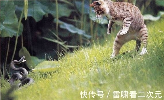 |笑话段子:你啥都不拿,这不是让大家都知道我穷嘛!