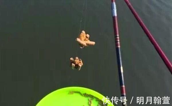 颗粒|野钓大鱼用饵技巧,对比蘸米钓和麻团钓,用这几招,小鱼群钓大鱼