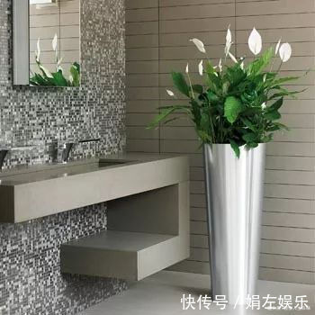 8种与“财”有关的植物,家里养几盆,招财旺宅,人人都喜欢!