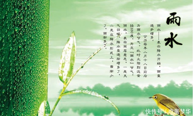 雨水|二十四节气-雨水