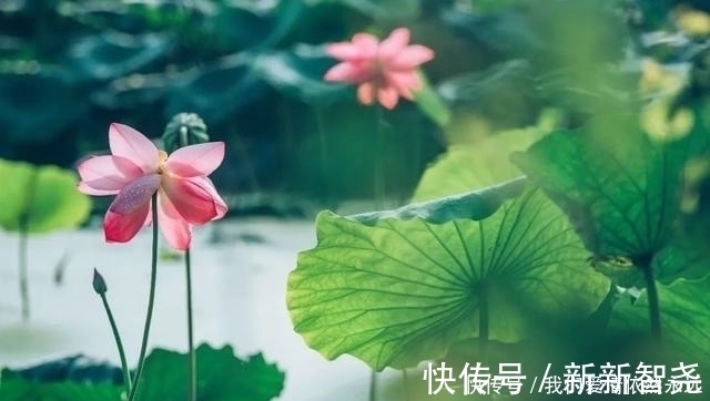 唐代|15首最美七绝情诗,首首深情,爱你千千万万遍