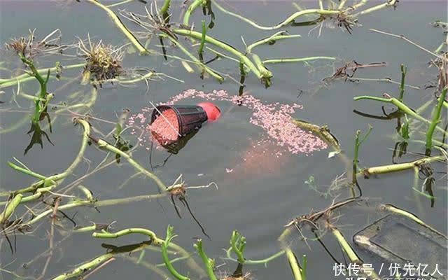 春季钓鱼,打窝不当小杂鱼容易闹窝,做这些调整,提升聚鱼效果