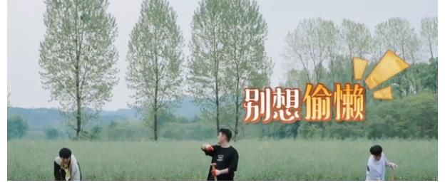 前因后果|李诞陈赫录向往5被嫌太吵，制作人发文：好笑内容涉版权被迫删除