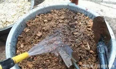 垃圾桶边的蜂窝煤渣，全被邻居偷偷捡回家，逼问才知有这奇用