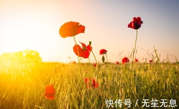 7月5日是谁的生日