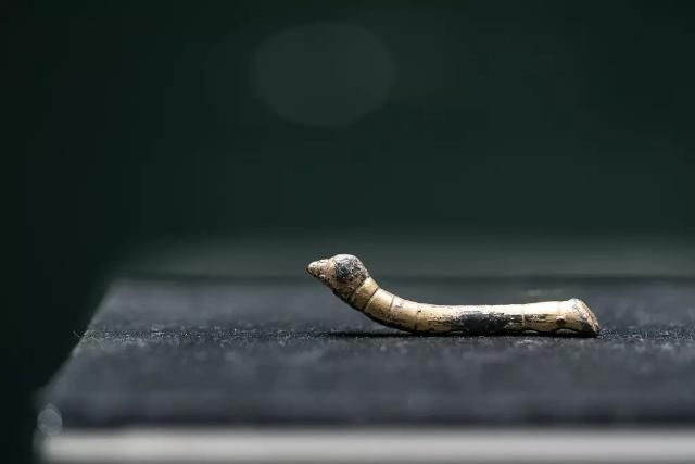 马未都:我百年之后,想把亿万收藏都捐给社会,可儿子却有个要求