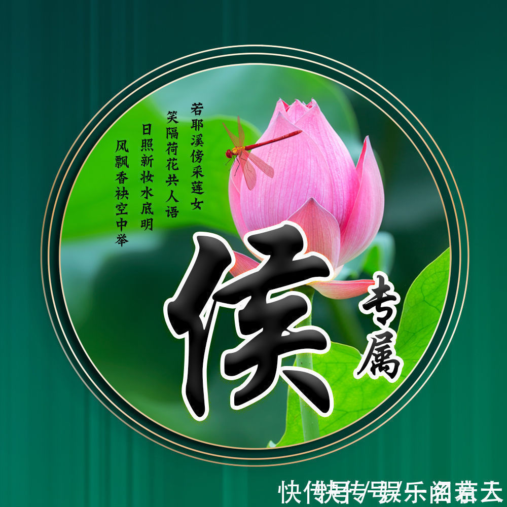 世人大!用你的姓氏当头像,20张唯美荷花大气图片,中国风华丽登场