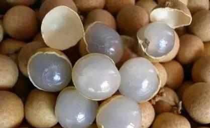 宁心安神|农村一野果是失眠的“克星”, 晚上喝水泡几粒, 一觉睡到自然醒