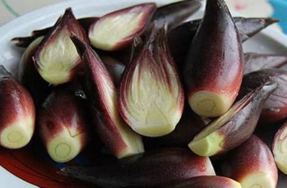 阳荷|想长寿要多吃四种食物,补充营养、改善体质,有益健康