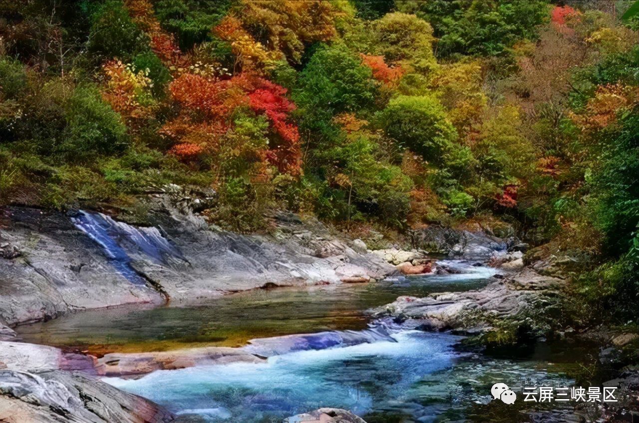 两当|陇南两当云屏秋景：满目染彩惹人醉