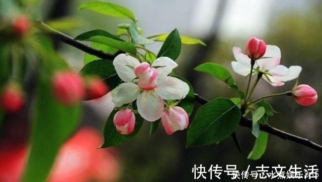 释义&真正厉害的人,为人处世,往往能做到这四点!