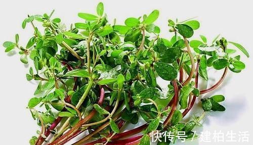 中老年人|天然“降压”的几种食物, 每天吃一些, 有助稳定血压, 身体更健康