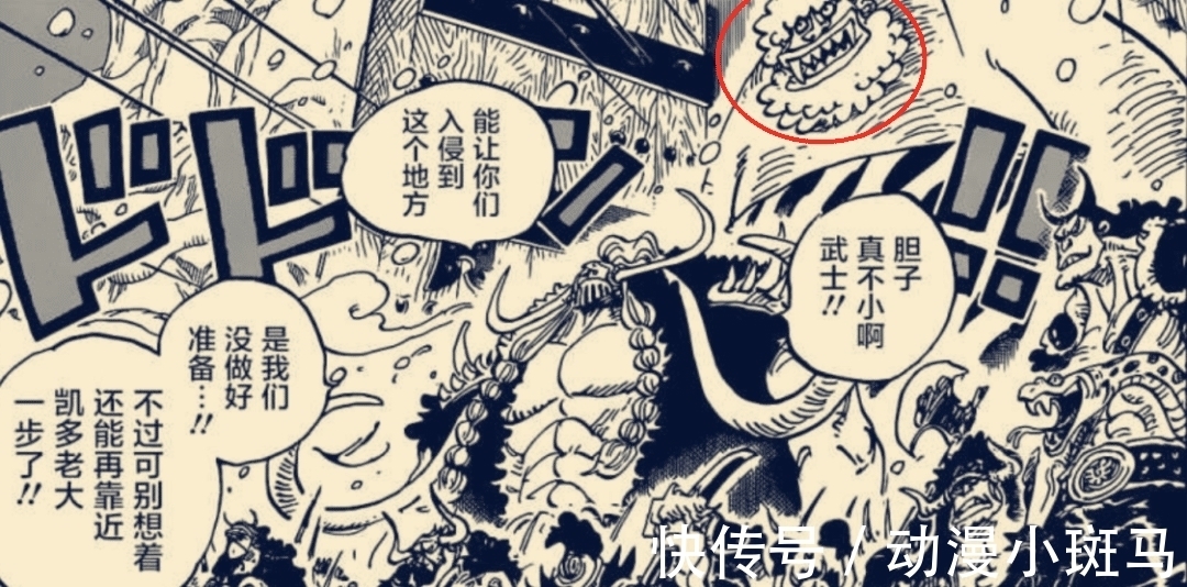 罗宾|海贼王989话情报:大妈又悲催了,草帽团将全员登场!