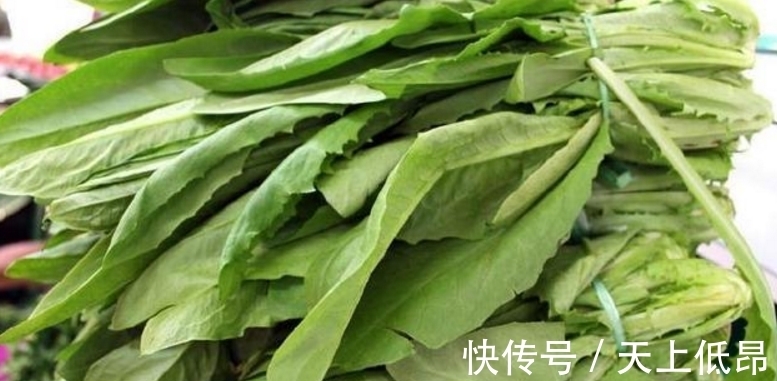 苦菜|又一味抗癌野菜,听说比吃药好使,农村人都爱吃!