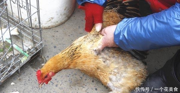 鸡身上的哪些部位,再美味也请少吃,商家宁愿扔掉也不吃,早知晓