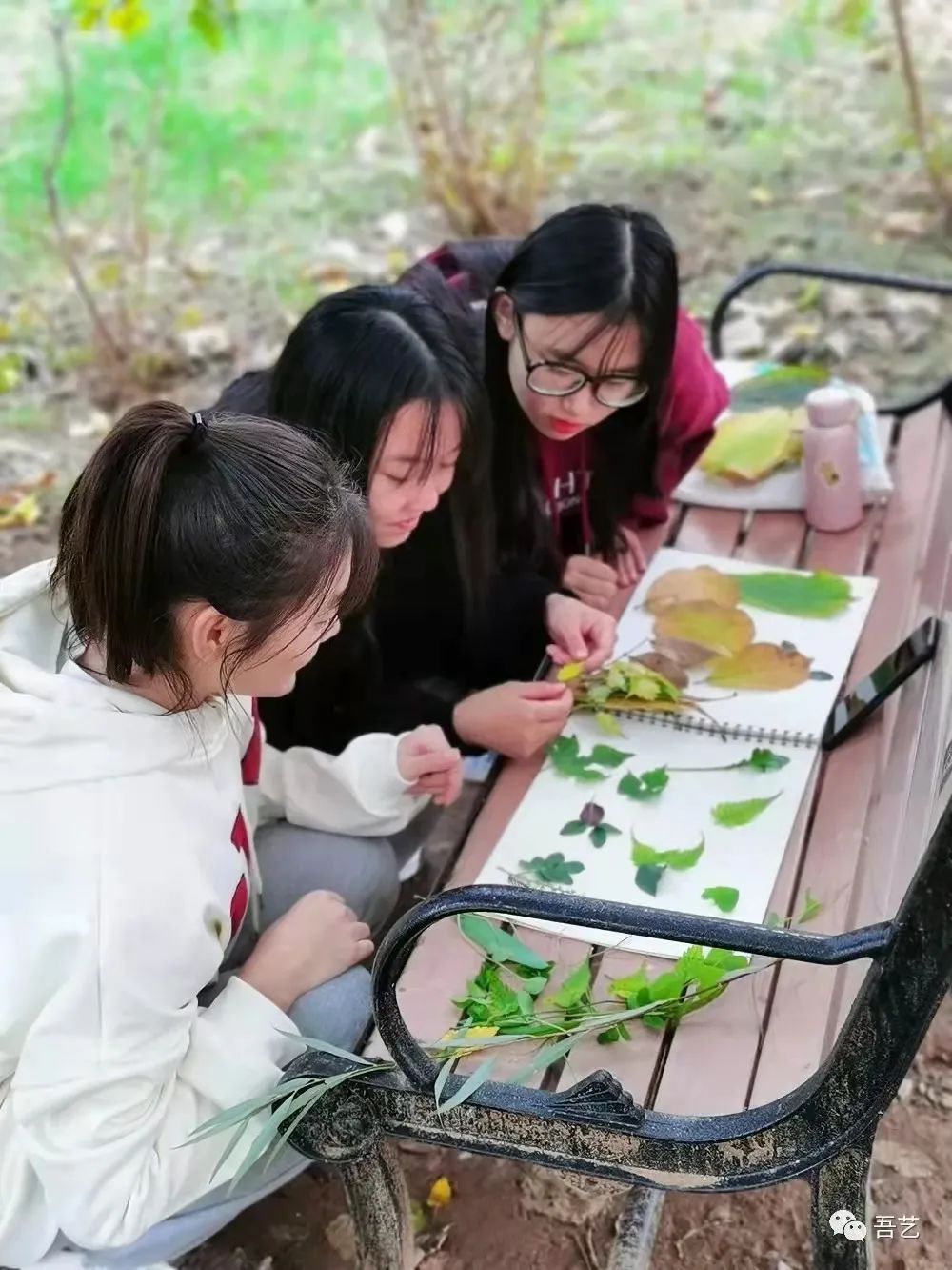 小姐姐|来年秋风起，等风也等你