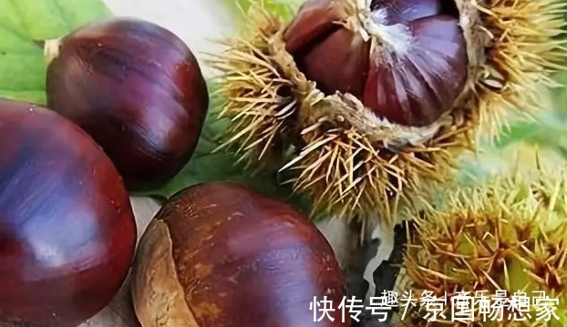 食物|女人想皮肤好，4种食物换着吃，去除皱纹，祛皱美容，谁吃谁受益