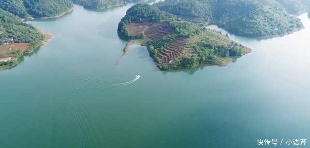 小鱼|上世纪,水库放入两条小鱼,竟是淡水之王幼鱼,现在失控成灾