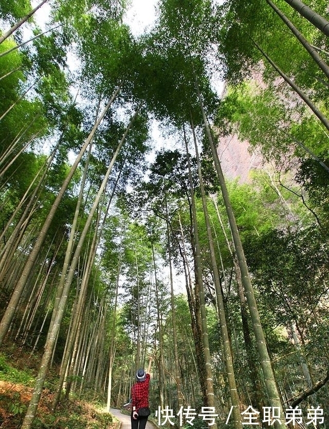 自驾泰宁，看丹霞地貌读沧海桑田的变演，探寻深山中遗失的古村