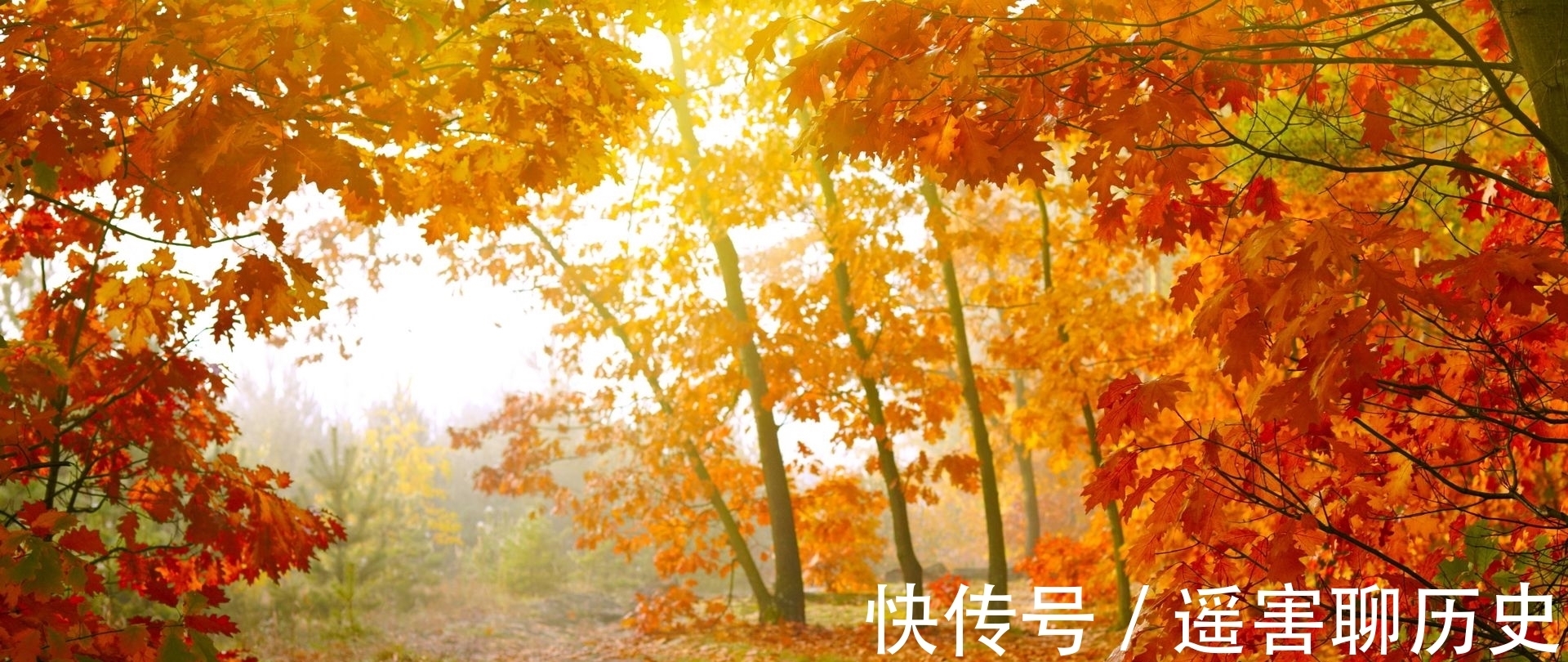 文人$骂人最狠的元曲,别出心裁,成为文人雅骂的最高境界