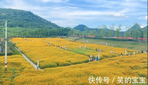 硫华菊|手绘贵阳第三季丨南明水塘村