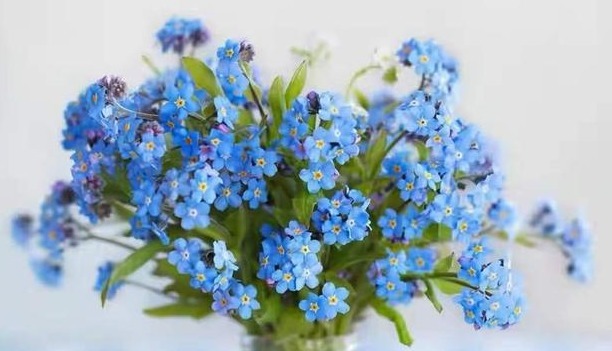 |心理学：你之所以不幽默，是因为缺乏这4种能力