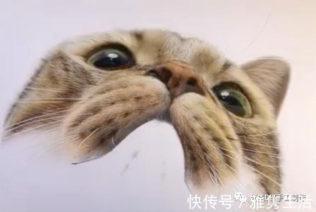 音海#超拟真动物画,每根毛发都这么细致,网友惊呼真假分不清