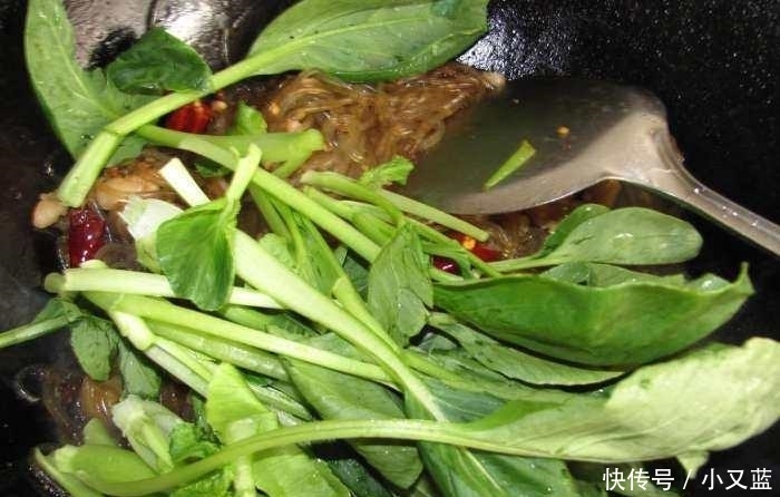 家常的不能再家常的一道菜, 吃过了还想吃