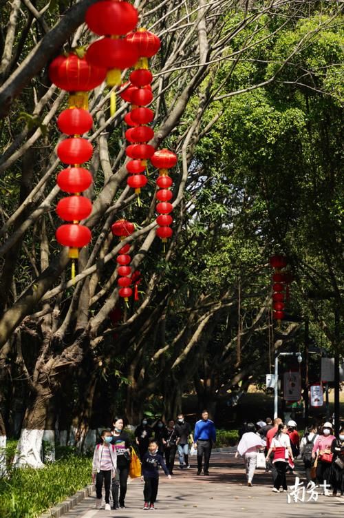 过年|春日暖阳，旗峰山登高望远人气旺