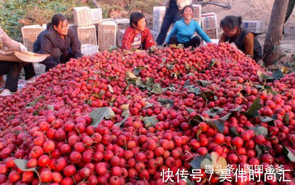 睡眠质量|男孩4岁身高已达126CM，完全靠爷爷的这个消食妙招，值得家长借鉴