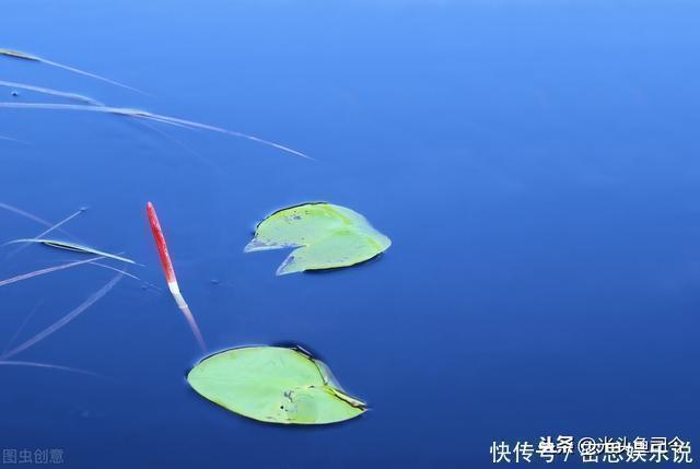 浮漂|鲫鱼都是送漂？谣言！这7种漂相都是鲫鱼吃钩，看你错过多少鱼