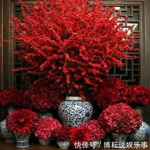 这“5种”花,好看又好养,开花艳丽,美不胜收,家庭盆栽首选