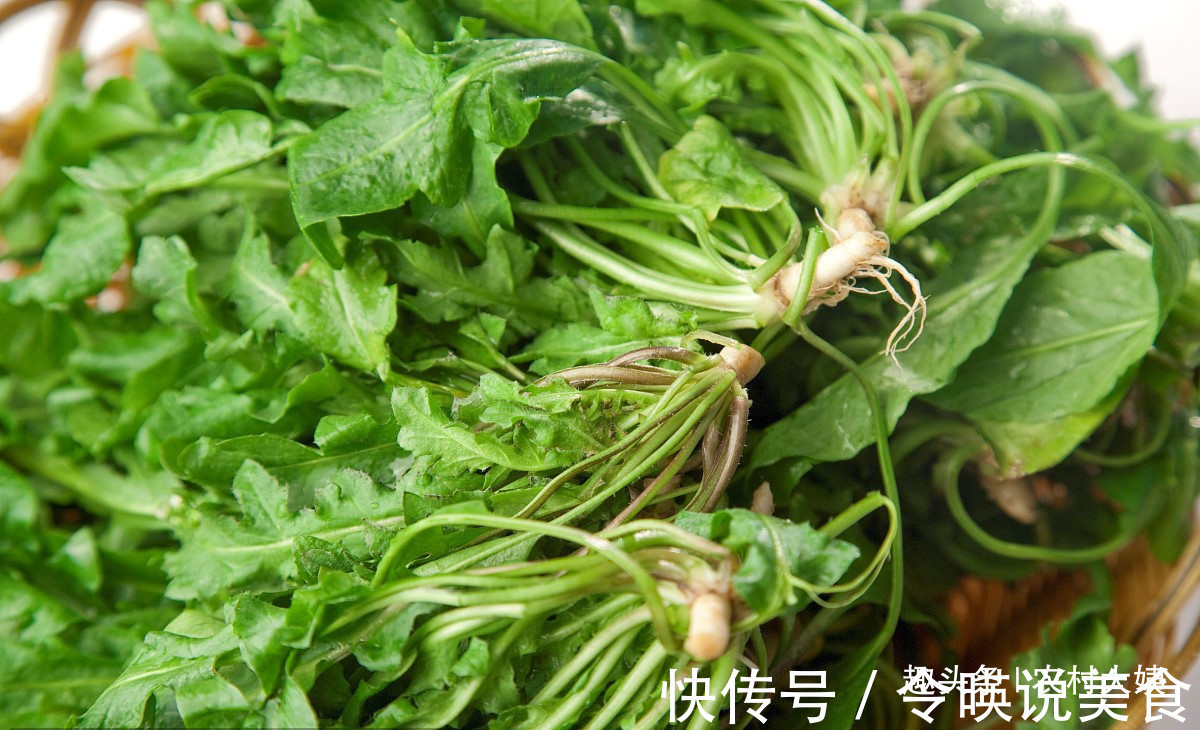 美味|此菜是野菜中的美味,营养丰富的蔬菜,也是减肥人士的必备选择