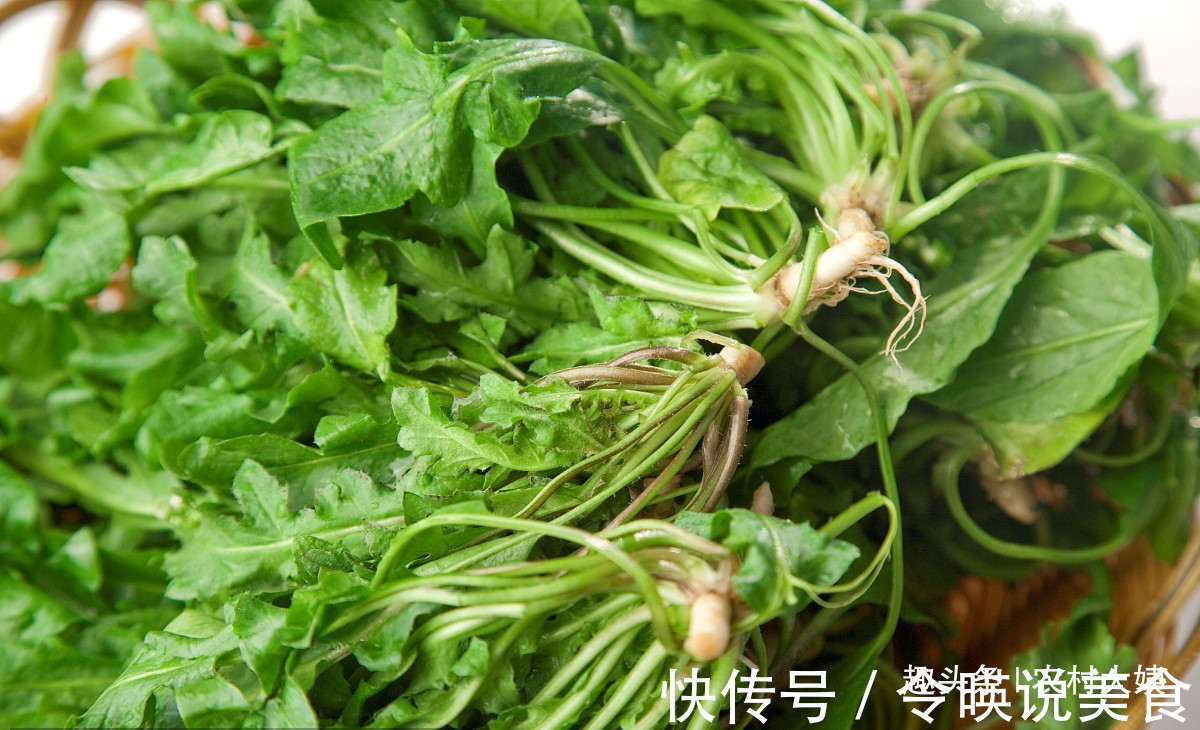 美味|此菜是野菜中的美味，营养丰富的蔬菜，也是减肥人士的必备选择