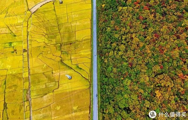 地图|被红叶点燃的仲秋华夏大地——中国赏红叶不完全地图