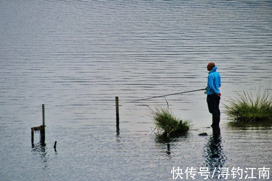 钓位|钓位按这几个思路来找，渔获自然少不了，别不信，高手们都这么做
