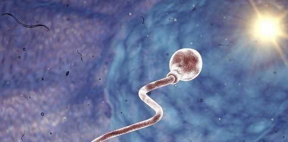 年龄|夫妻年龄相差这个“数”,孩子的智商会更高,不知你在其中吗