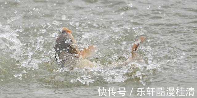 钓鱼这么多年,被70岁老大爷,给上了一课