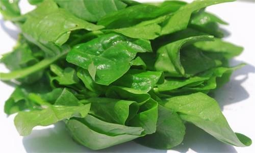 身体|想长寿全靠吃,3种食物离不开,补充营养,身体棒棒哒!